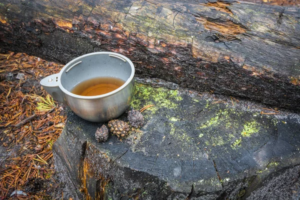 Tasse de thermos avec thé chaud sur souche en forêt . — Photo