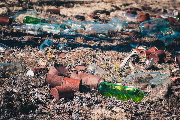 Discarded garbage in the form of cans, bottles, canned goods and other things in the forest by tourists.