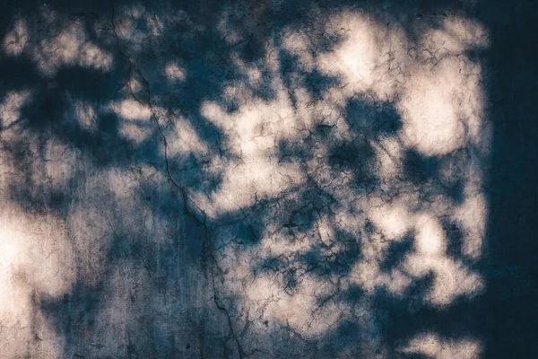 Shadow on concrete slab cast from the forest and trees. — Stock Photo, Image