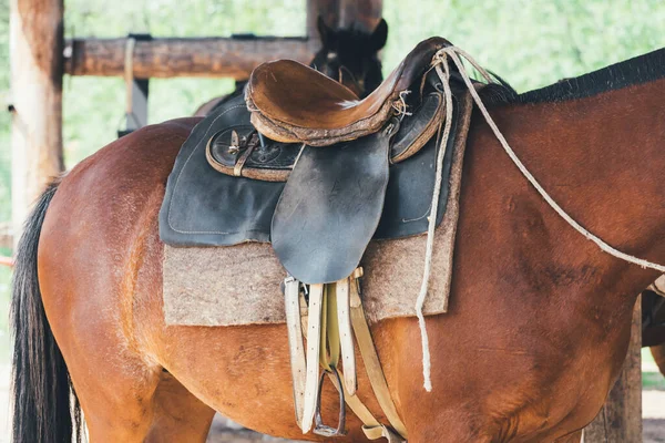 Sillín de cuero para montar a caballo . —  Fotos de Stock