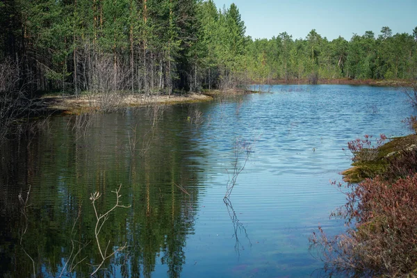 Spring river in the forest area after the ice drift. — Stock Image Spring river in the forest area after the ice drift. Stock Picture