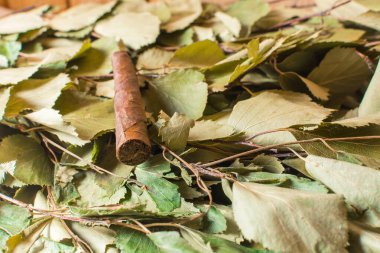 Saunada huş süpürgesinde kısa puro