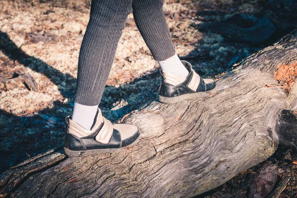 Meisjes benen in laarzen steek het bos door boom in wandeltocht. — Stockfoto