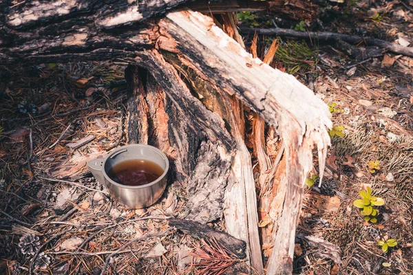 Tasse de thé de thermos avec thé pour se réchauffer lors d'une randonnée pédestre sur le pin dans la forêt. — Photo