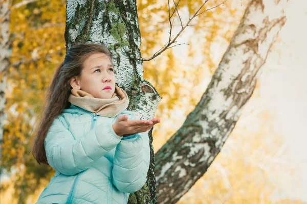 Сумна дівчина з довгим волоссям в синій куртці сидить на березовому дереві і ловить краплі дощу в осінній день . — стокове фото