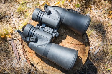 Güneşli bir günde ormanda gece dürbünü.