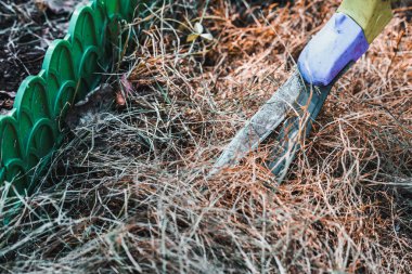 Keskin bıçaklı büyük bahçe budama makinesi uzun bir kıştan sonra ilkbaharda kuru otları keser. Toprağı yeşillik ve otlardan temizliyorum.