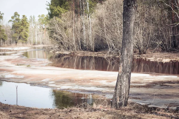 早春漂流在美丽的河流上 断断续续的冰沿着溪流而下 — 图库照片