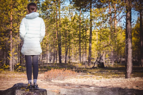 光のジャケットの女の子は切り株の上に立っていると深い松林の中を見て — ストック写真