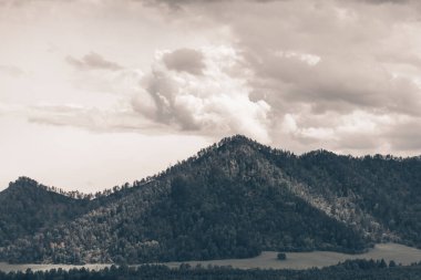 Talan edilmiş yüksek dağlar Tayga 'ya kadar uzanıyor.