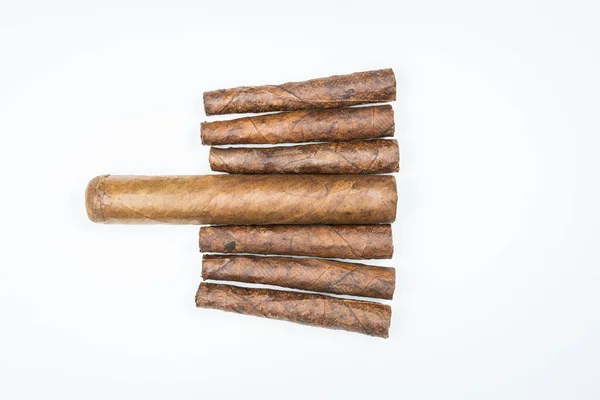 Big Small Cigars Twisted Sheets Tobacco White Background — Stock Photo, Image