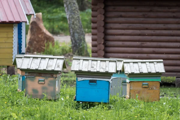 Casas Madeira Para Abelhas Reprodutoras Apiário Montanhas — Fotografia de Stock