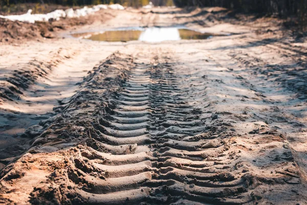 stock image Deep tracks from the wheels of large truck on the sand in forest area