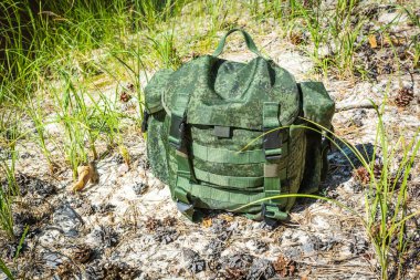 Kozalakların ve kozalaklı yaz ormanlarında yeşil çimenlerin arasında kumlu sahilde yürüyüş yapmak.