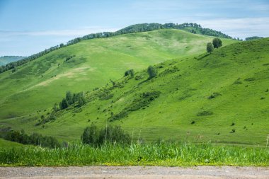 Talan edilmiş yüksek dağlar Tayga 'ya kadar uzanıyor.
