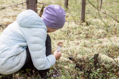 Elinde bıçakla küçük bir kız bir sonbahar günü çam ormanında kurtlu mantar bacağını keser.