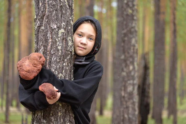 Όμορφο Κορίτσι Μαύρο Πουλόβερ Κουκούλα Αγκαλιάζει Πεύκο Δέντρο Μεγάλο Boletus — Φωτογραφία Αρχείου