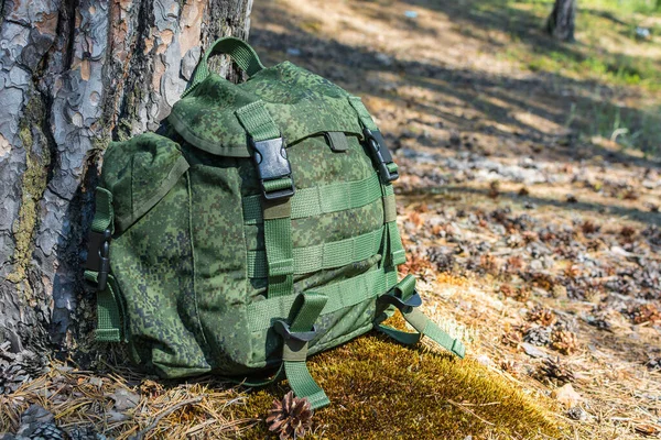 Green hiking backpack lies near an old pine tree on edge of moss in summer forest