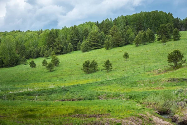 Hoog Beboste Bergen Strekken Zich Uit Verte Taiga — Stockfoto