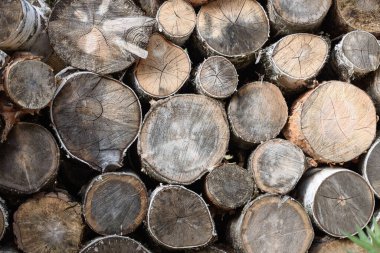 Evde soba yakmak için odun kırdım.