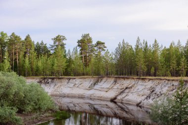 Dik kumlu kıyıları olan Sibirya nehri Tayga ormanında akıyor.