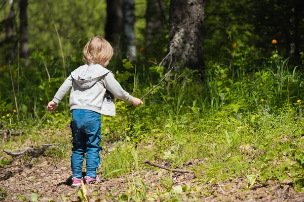 Όμορφο Μωρό Περπατά Και Διασκεδάσουν Στο Δάσος — Φωτογραφία Αρχείου