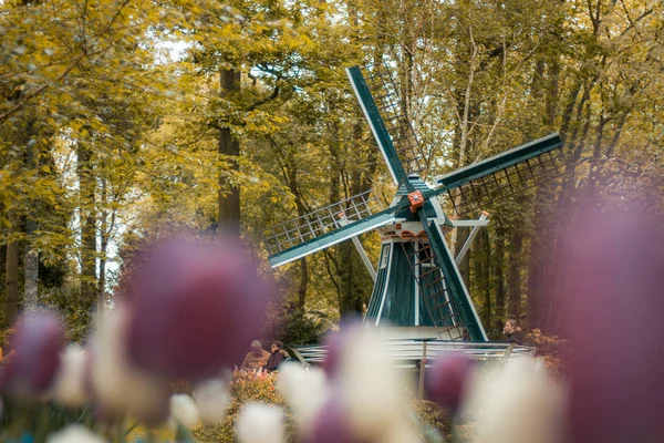 Liten väderkvarn i parken i Nederländerna/Holland — Stockfoto