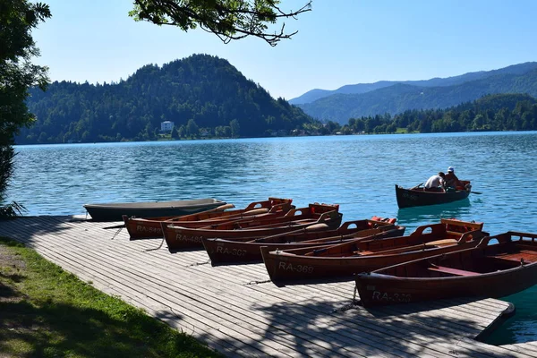 Lago Bled Eslovenia Europa — Foto de Stock