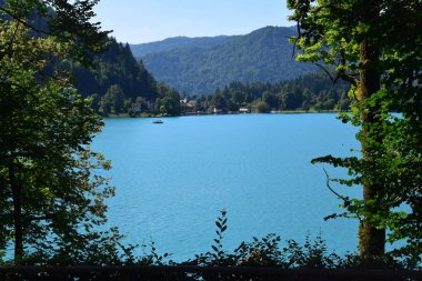 Bled Lake, Slovenya- Avrupa
