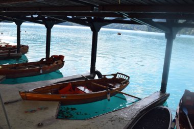 Bled Lake, Slovenya- Avrupa
