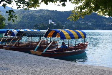 Bled Lake, Slovenya- Avrupa