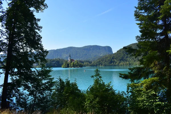 Bled Lake Slovenia Europe — Stock Photo, Image