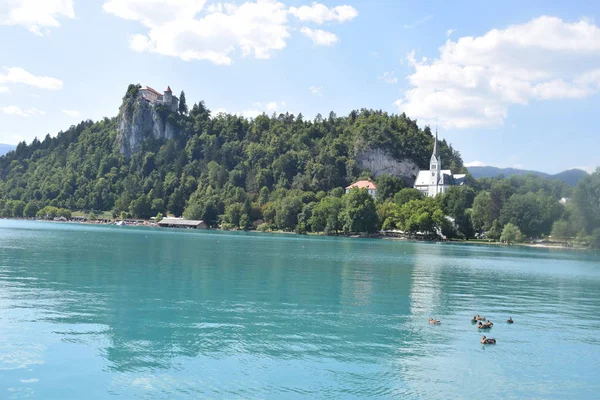 Bled Lake Eslovenia Europa — Foto de Stock