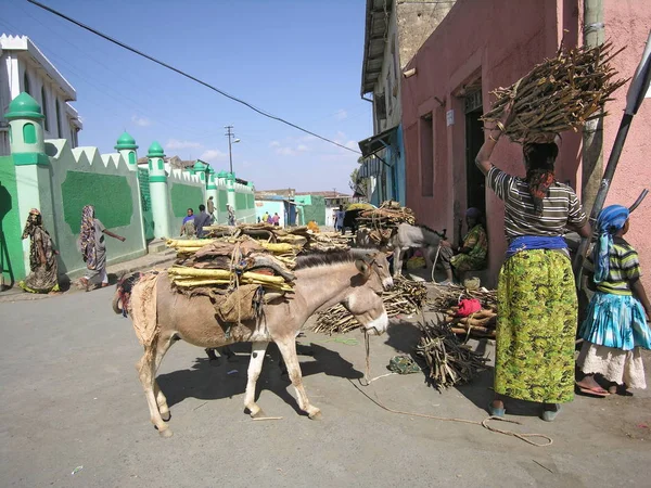 Harar Etiopia Marzec 2012 Niezidentyfikowana Kobieta Sprzedaje Drewno Opałowe Pobliżu — Zdjęcie stockowe