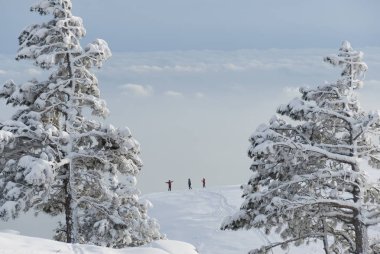 Kış sahne Kırım Dağları, Ukrayna.