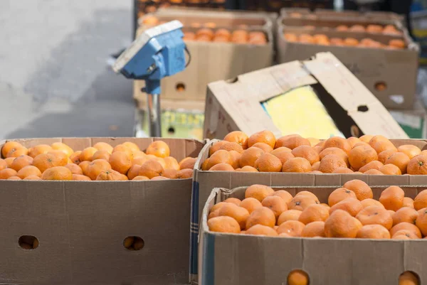 格鲁吉亚第比利斯市场上出售的盒子里的橘子 — 图库照片