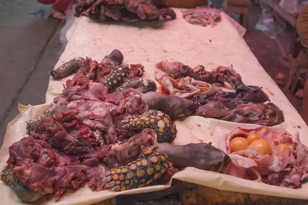 Carne Tartaruga Mercado Iquitos Peru — Fotografia de Stock
