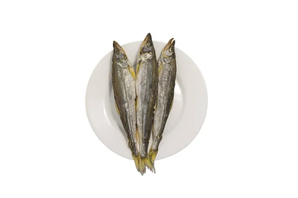 Sal Seco Derreta Peixe Prato Isolado Branco — Fotografia de Stock