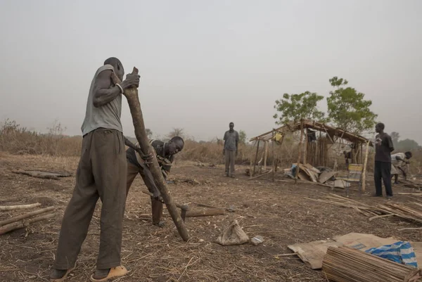 南苏丹朱巴 2012年2月28日 身份不明的难民为在南苏丹朱巴流离失所者营地建造新的棚屋准备木日志 人们呆在恶劣的条件下 — 图库照片
