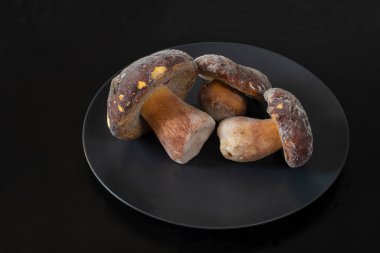 Donmuş Porcini mantarları, siyah arka plan..