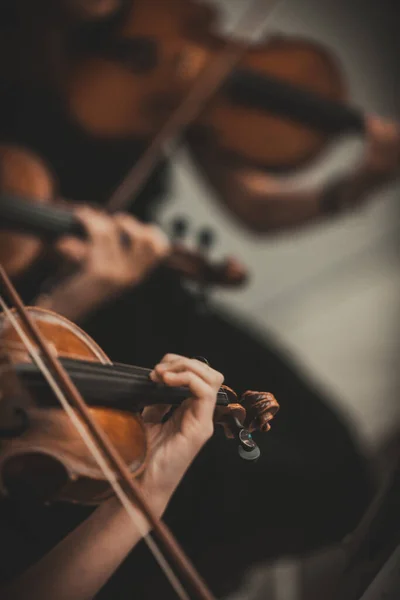 女性で構成されるエレガントな弦楽四重奏 — ストック写真