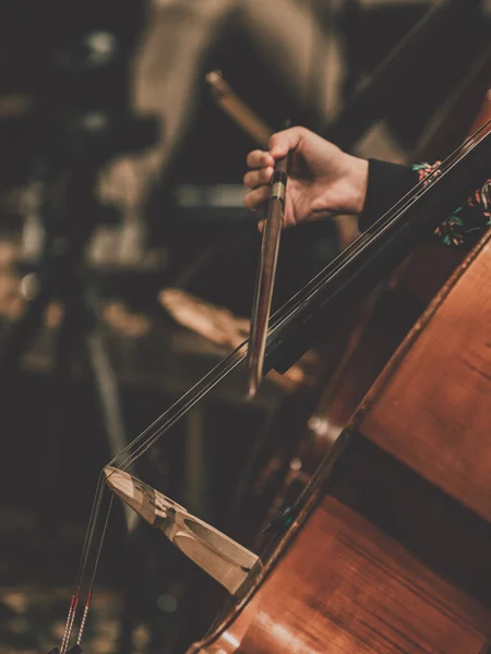 Double bass section in a classical orchestra. Side view on musicians and their instruments. Close-up of an instrument. Detail.