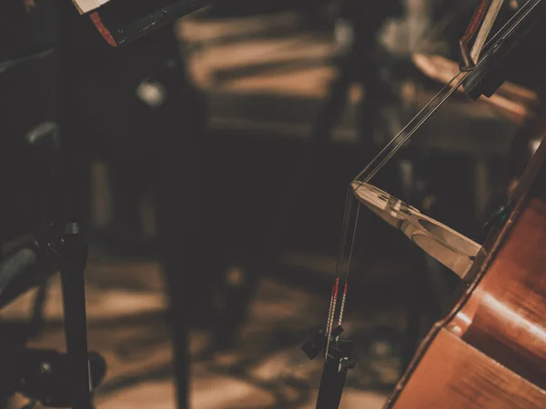 Подвійна Басова Секція Класичному Оркестрі Вид Збоку Музикантів Їхні Інструменти — стокове фото