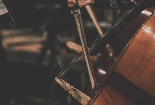 Seção Contrabaixo Uma Orquestra Clássica Vista Lateral Sobre Músicos Seus — Fotografia de Stock