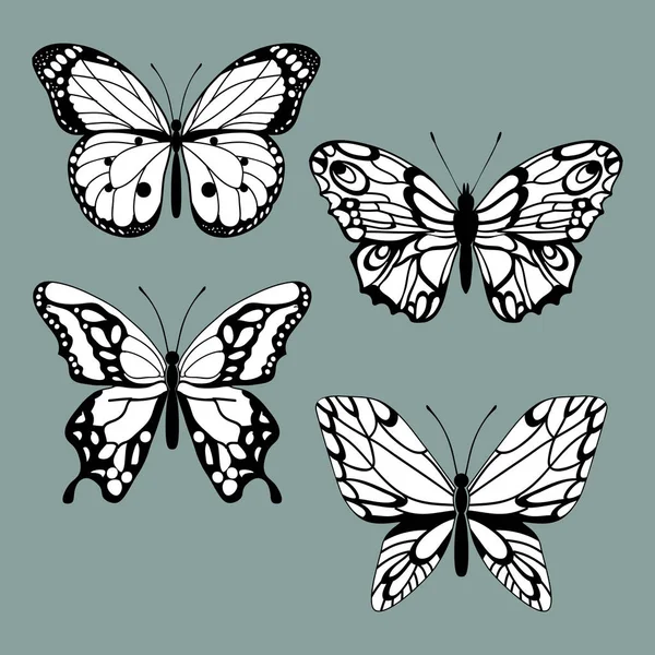 Ställ Dekorativa Fjärilar Uppsättning Filigran Isolerade Silhuetter Fjärilar Dekorativa Designelement — Stock vektor