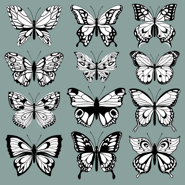 Set Papillons Décoratifs Ensemble Silhouettes Isolées Filigrane Papillons Eléments Décoratifs — Image vectorielle