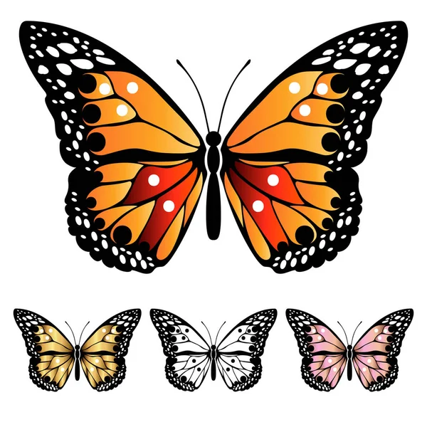 Mariposas Colores Brillantes Conjunto Mariposas Multicolores Filigrana Elemento Decorativo Diseño — Archivo Imágenes Vectoriales