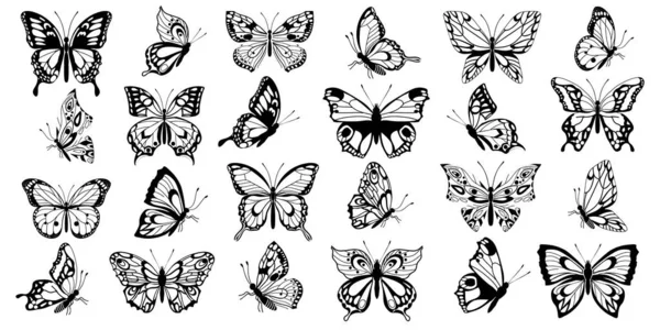 Conjunto mariposas filigrana — Vector de stock