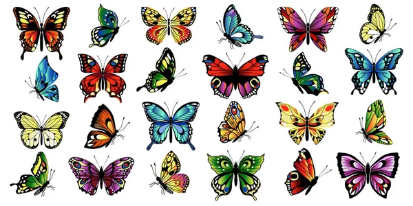 Conjunto de mariposas multicolores — Archivo Imágenes Vectoriales