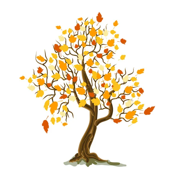 Albero autunnale — Vettoriale Stock